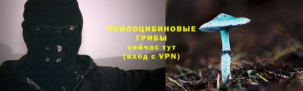 мяу мяу мука Белоозёрский