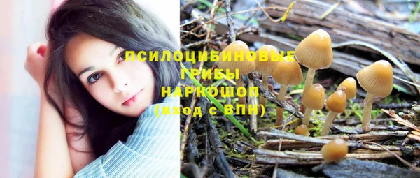 мет Белокуриха
