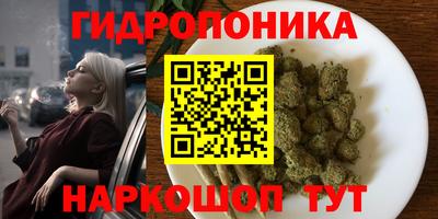 ешки Волжский