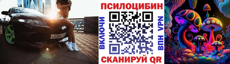 сайты даркнета Telegram Острогожск Псилоцибиновые грибы мицелий цена
