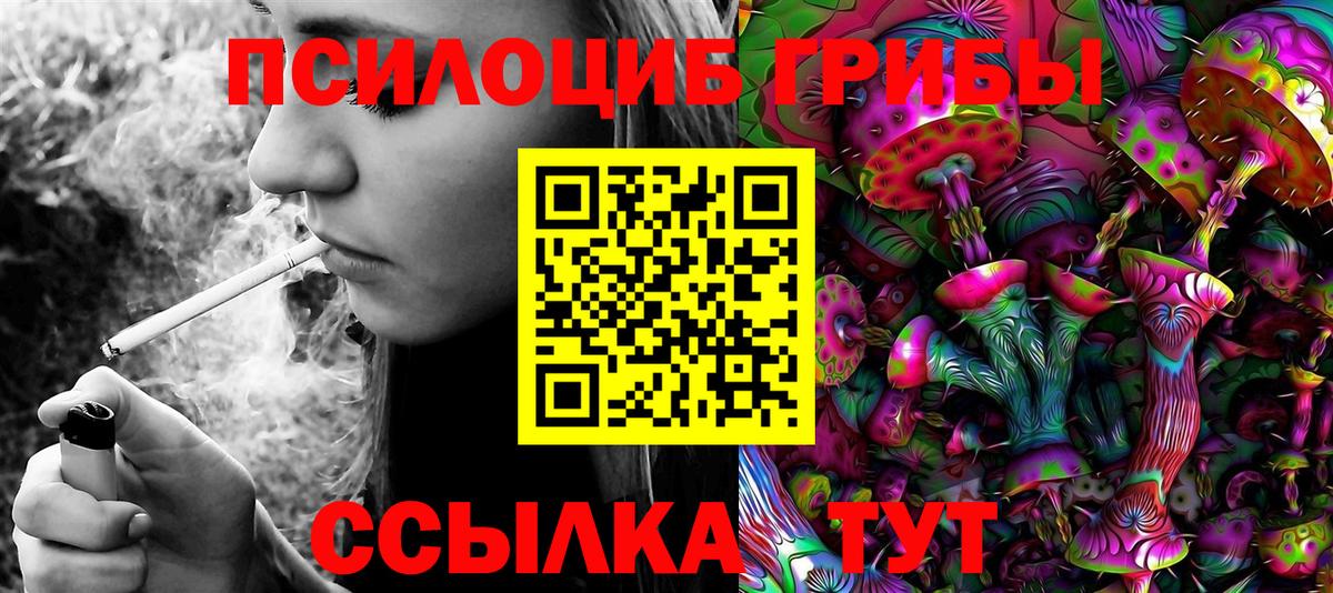 Псилоцибиновые грибы прущие грибы Острогожск