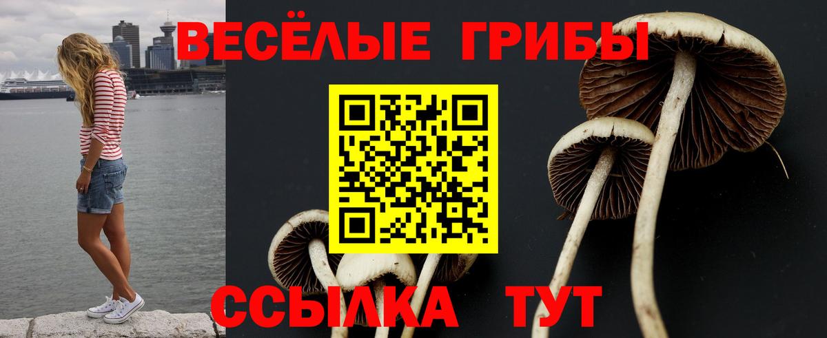 Псилоцибиновые грибы Magic Shrooms  Вход с VPN  сколько стоит  Острогожск 